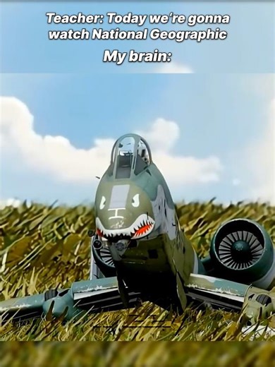 The planes turned into birds 😂😭