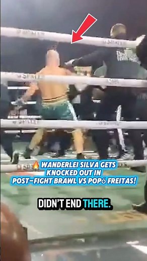 Wanderlei Silva Gets KNOCKED OUT in Post Fight Brawl vs Popó Freitas!