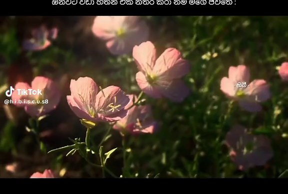 Exploring Chapter 9: Emotions in Storytelling