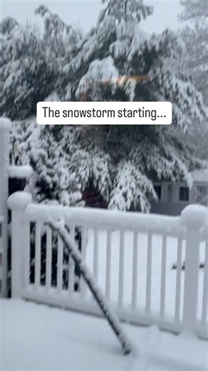 SNOW STORM IS HERE, BE SAFE!🐾 #cockapoo #shichon #cutedog #zuchon #snowstorm2026 #snow #snowstorm