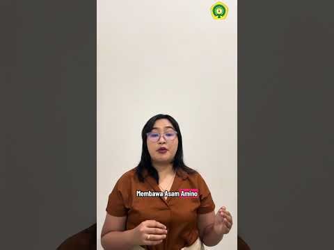 DNA & RNA | Transkripsi, Translasi, Replikasi, dan Mutasi DNA