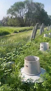 We were fixing one of our pheasant pens up and we found this little guy hiding in the grass. 🦌 The wire on the outside of the pen was too tall for him to jump over so we had to lift him over and out. His mom was on the outside! I think that she gave birth to him inside of the pen and then he just couldn’t get out. 😳 | Pete’s Pheasant Farm