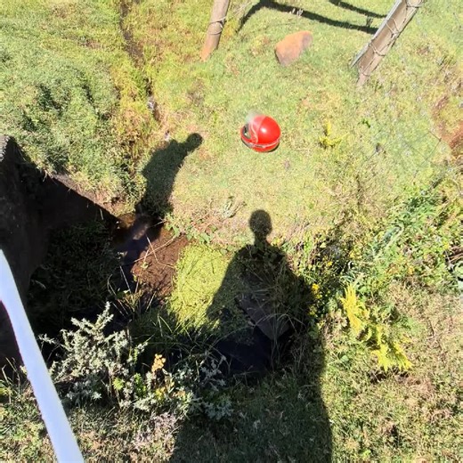 Harmony River water for the Adventurous vet surgeon.