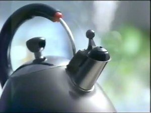 ミツウロコ CM 1995年