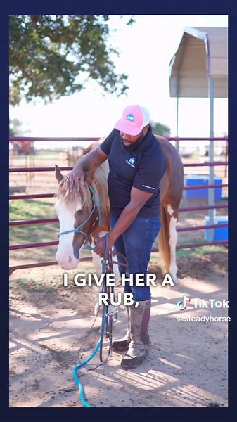 Beginner's Guide to Bridling Your Horse