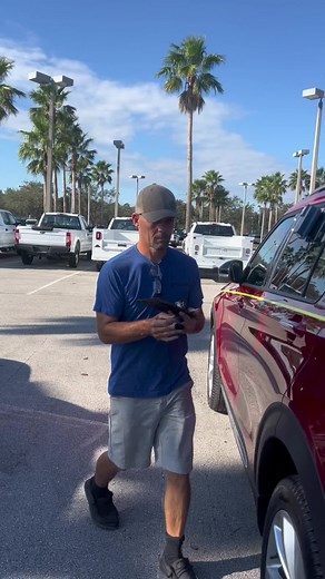 Vehicle Detailing Tips for Red Cars