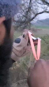Powerful Slingshots For Birds Hunting | Best Hunting Gadgets for Outdoors Shooting/Hunting Games | WhatsApp 0347 4539154 | Taseer Hunting