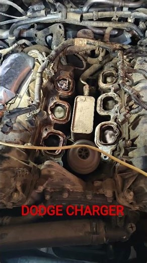 DODGE CHARGER 2012 #automobile #lifeisbutadream #toyotacar #engine #mechanic