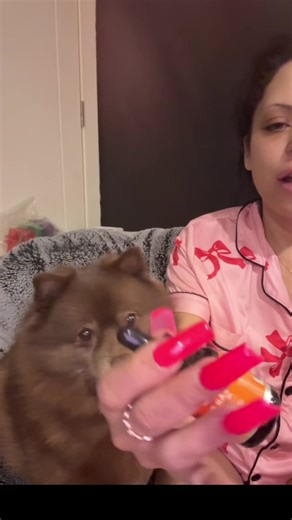 Best Ear Drops for Dogs and Cats Care