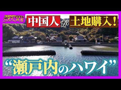 [Japan for Sale] Shanghai resident buys land! The "Hawaii of the Seto Inland Sea" with only one p...