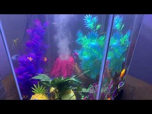 September 2020 - Aqueon 20-Gallon Column Aquarium Setup 🎃