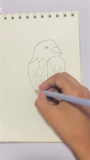 How to draw an eagle | easy sketches