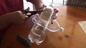 Easy and Cheap DIY Fruit Fly Trap