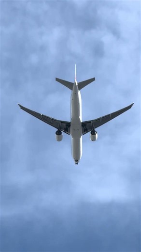 【真下から大迫力】JAL B777-300ER (JA743J) 羽田着陸アプローチ！|Stunning Underbelly View JAL1 B777 HND Landing Approach!