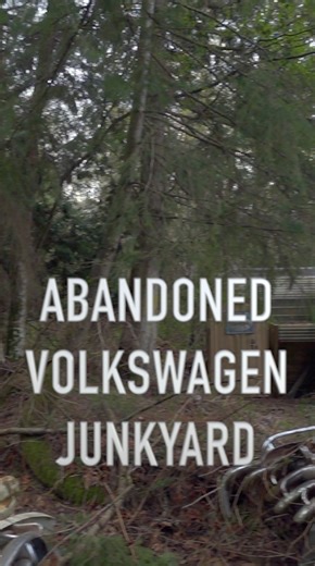We checked out an abandoned junkyard stuffed full of classic Volkswagens and a few surprises. #junkyard #vw #classiccars #aircooled #Volkswagen | This Day in Automotive History - Drive History