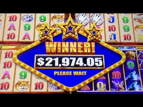 ABSOLUTELY MASSIVE JACKPOT!!! OVER $20000 DREAM WIN ON WONDER 4 BUFFALO GOLD!!!