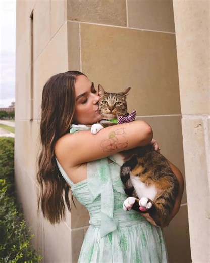 VMCAS/TMDSAS Application Results for 2029 Veterinarians