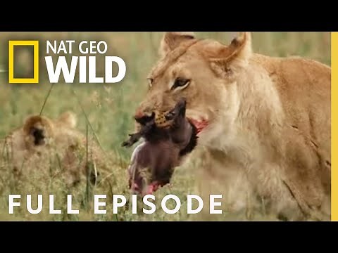 The Rebel Army (Full Episode) | Savage Kingdom