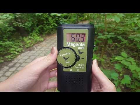 Bat Meter Tutorial - Magenta Bat5