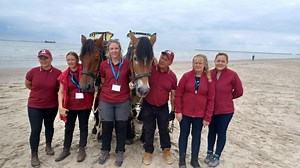 La route du poisson, qu’est-ce que c’est?
