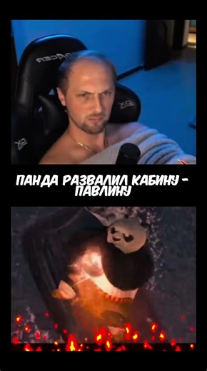🤣Павлин выстрелил в Панду взрывным ядром | Зубарев #shorts