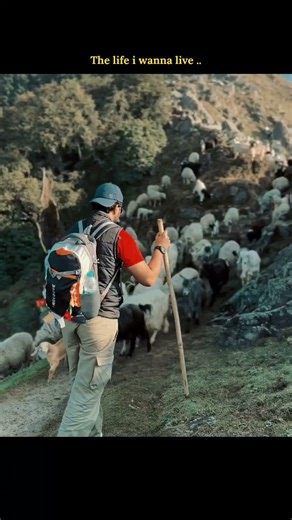 The life i wana live… #4kscenery #travel #scenicjourney #sceniclandscapes