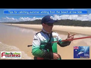 Tips for catching summer whiting off the beach at low tide