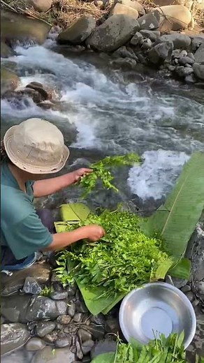 The Joy Of The Green Harvest 💚 Harvesting fresh fern || Edible Wild Ferns || Fresh Ferns