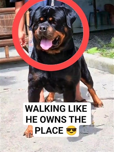 He RUNS this neighborhood... 😤