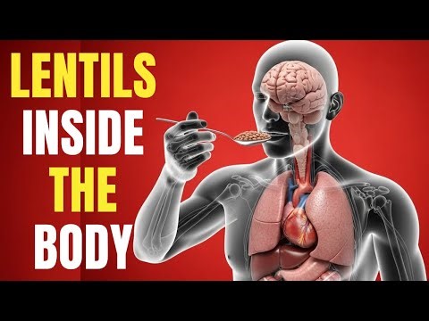 What Lentils Do Inside Your Body (3D Anatomy)