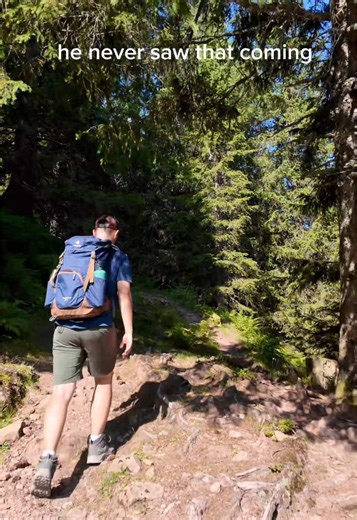 POV: you thought it was just a chill hike #hike #switzerland #mountains #bergsee #wandern 🫶 @flumserberg_switzerland