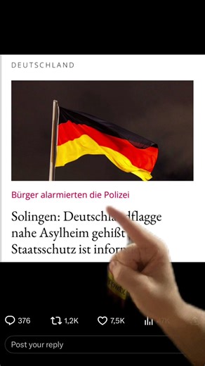 German flag banned #afd #bundestag #politics