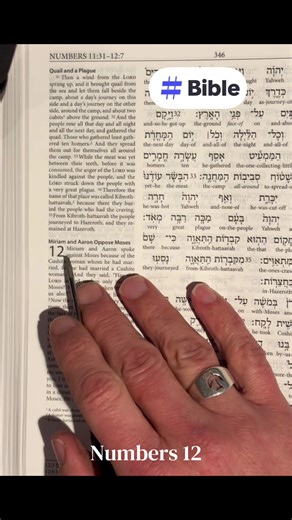 Numbers 12 #Jesus #bible #scripture #Christian