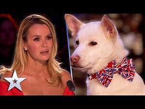 Magical dog proves MIRACLES do exist | Unforgettable Audition | Britain's Got Talent