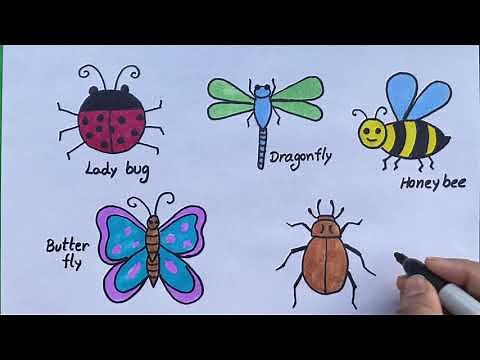 Easy Insects drawing. Easy Ladybug, dragonfly, honeybee, beetle bug drawing and coloring for kids