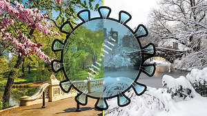 108K views · 296 reactions | We explain why no one knows if COVID-19 is seasonal. | Insider Science | Facebook