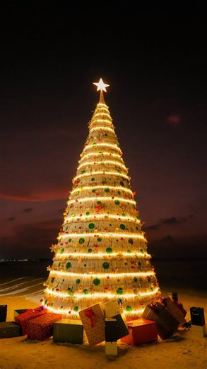 Vilu Reef Family Club on Instagram: "Lights on, spirits high ✨🎄 A magical Christmas Tree Lighting with joyful carols, vibrant traditional dances, and happy hearts all around. The festive season has officially begun 💛✨ #ChristmasAtTheResort #TreeLighting #FestiveVibes #JoyfulMoments"