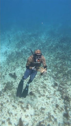 Easy Way to Catch Lobsters! 🦞✨ Quick & Simple Trick