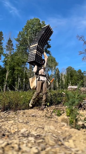 549K views · 13K reactions | FAQ #29 : What Country do you plant...