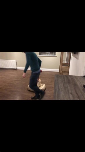 Weeeee! #dogsoftiktok #corgi