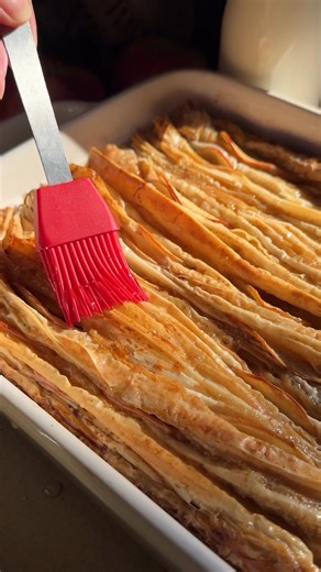 RECIPE: 20 oz phyllo dough 1 large apple, thinly sliced (~1/16”) 8 tbsp unsalted butter, melted Custard: 1 cup whole milk 1 tsp cinnamon 1/4 tsp nutmeg 1/8 tsp cloves 2 eggs 2/3 cup granulated sugar 2 tsp vanilla extract 1/4 tsp salt Syrup: 1/4 cup sugar 1/4 cup water 2 cinnamon sticks Preheat oven to 350˚F and line a 9x13” pan with parchment paper. Using two sheets of phyllo dough at a time, fold them accordion style, then arrange in the baking dish. Arrange the apple slices evenly throughout t