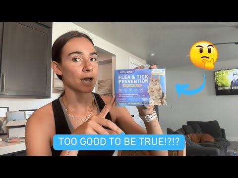 I Tried This Flea Treatment On My Cat And WOW | WEALLIN Honest Review