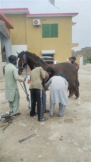 Satisfying Steel Cutting 🔥 | Powerful Metal Work #Shorts