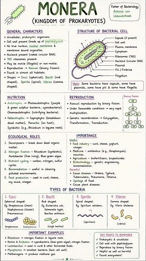 Monera Complete Revision 🔥 | All Important Points in One Shot | NEET Biology