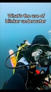 Flex ra naq aq bag,ong blinker from my divers #keepdiving #adventuredive #oceanlife #scubadiving #underwaterworld | Long Journey