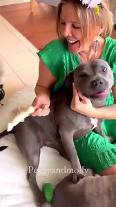 73K views · 9.7K reactions | Valentines Day at our place means being together , loving each other & being grateful for the people and animals in our life ❤ We Hope you had a fantastic day ❤ | Peggy and Molly | Facebook