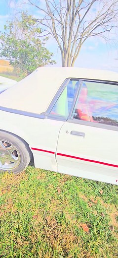 2.3K views · 89 reactions | Here is the latest project to emerge from...