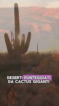 💯 ARIZONA 🇺🇸 | ABSURD LANDSCAPES IN THE HEART OF AMERICA 🌵 | #shorts #travel #travel