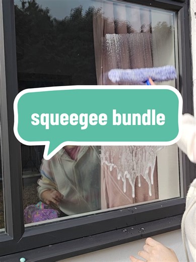 Streak-Free Window Cleaning Squeegee Set