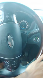 2016 Ford Explorer Steering rack/pinion loud grinding noise after parking the car outside for 5 weeks. Any ideas what happened here? Praying it's not the whole rack/pinion assembly